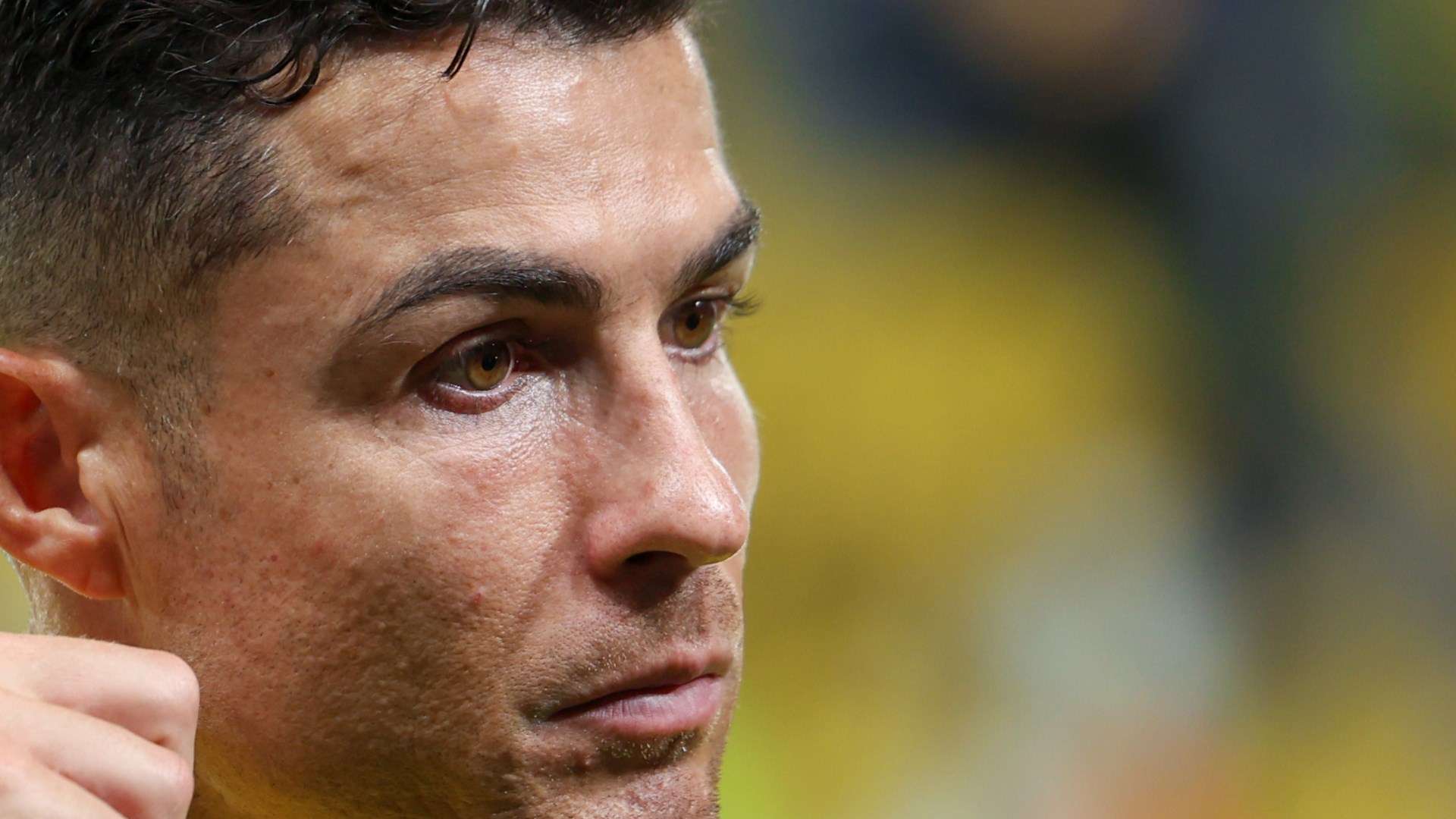 己的技术与 己的技术与