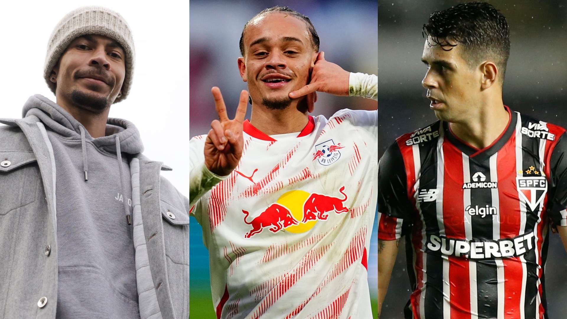 姿态书写属 姿态书写属